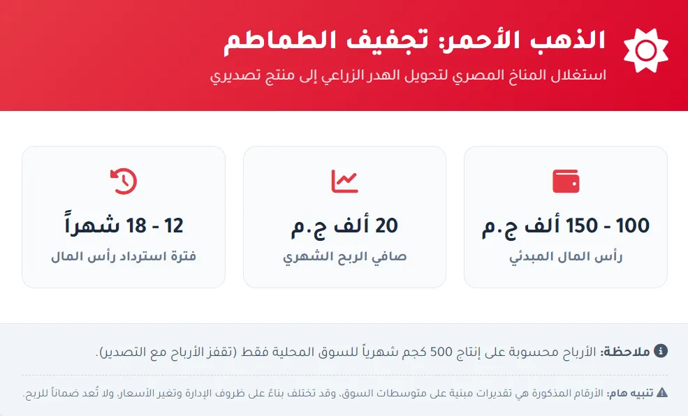 إنفوجراف يوضح تكاليف وأرباح مشروع تجفيف الطماطم في مصر، الصورة مولدة بالذكاء الاصطناعي