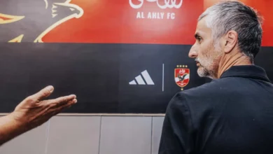 خوسيه ريبيرو