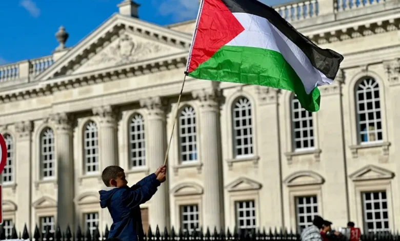 طفل يرفع العلم الفلسطيني، Photo by Dixit Dhinakaran on Unsplash