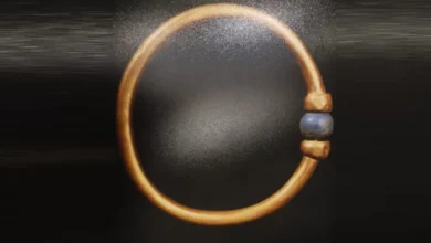 وزارة الآثار تعلن رسميًا اختفاء أسورة أثرية من المتحف المصري