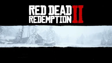 سكرين شوت من لعبة red dead redemption 2