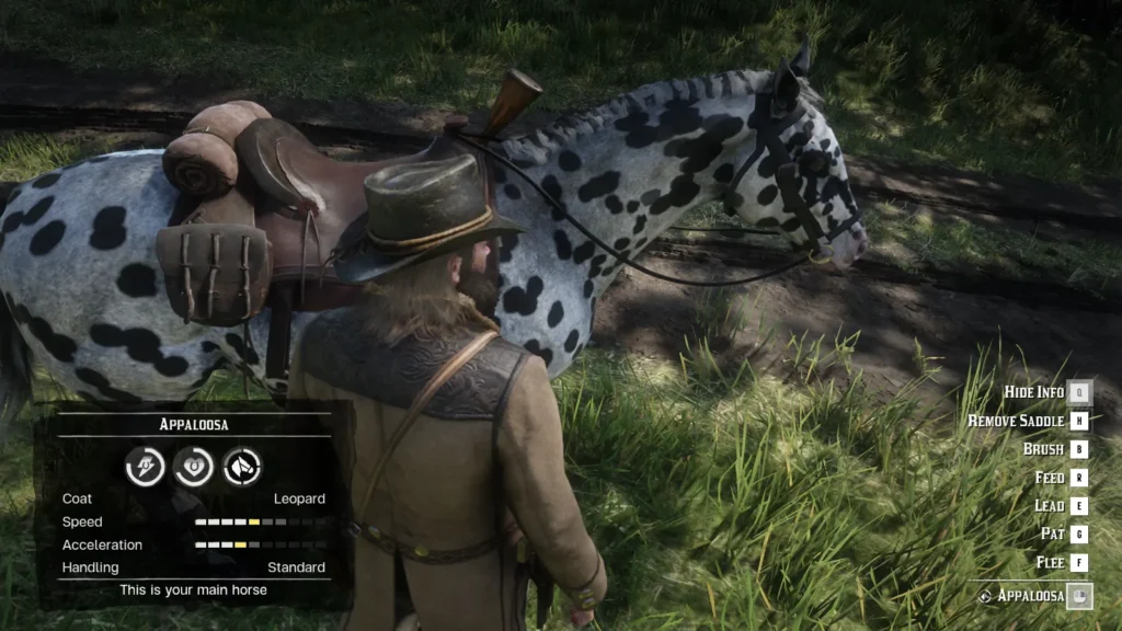 سكرين شوت من لعبة red dead redemption 2